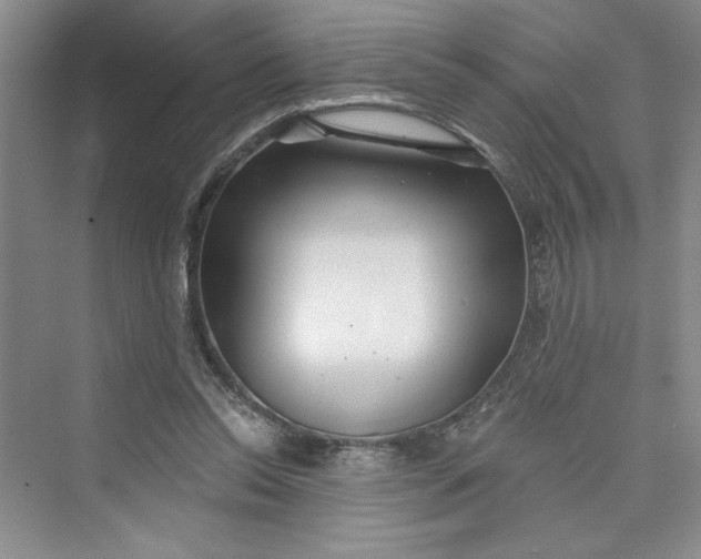 X0000075400350200609251024