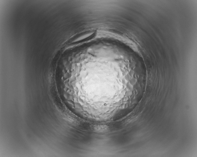 X0000075400355200609251024