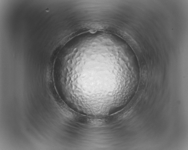 X0000075400359200609251024