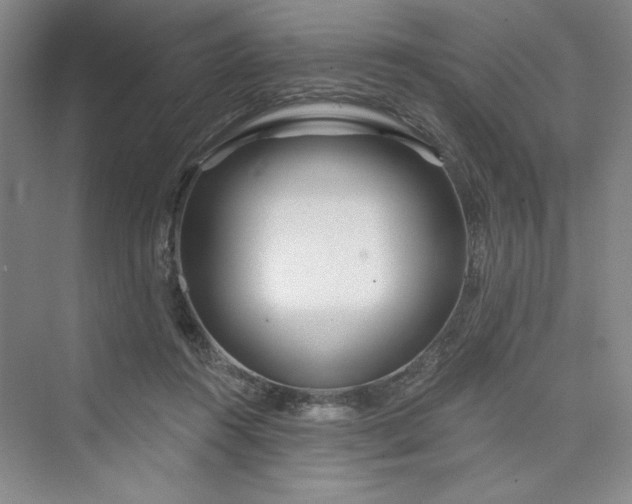 X0000075400360200609251024