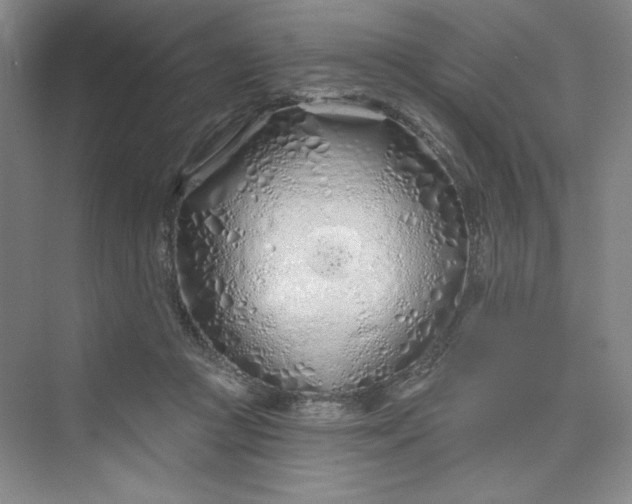 X0000075400361200609251024