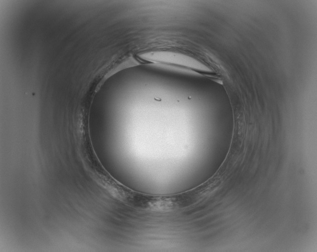 X0000075400362200609251024