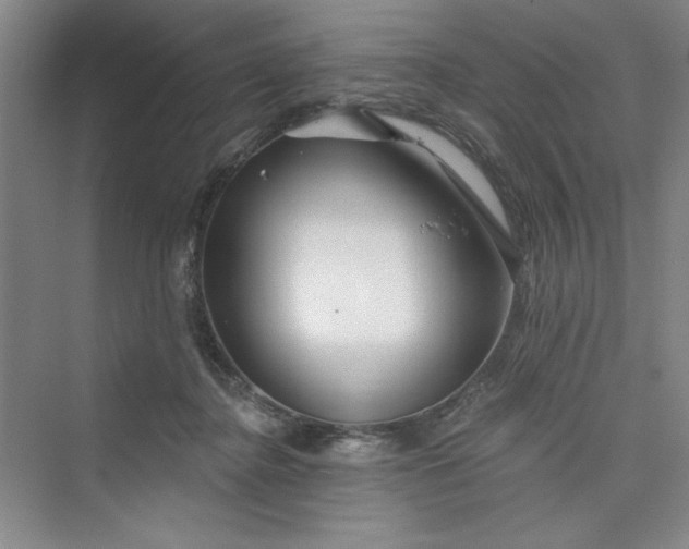 X0000075400364200609251024