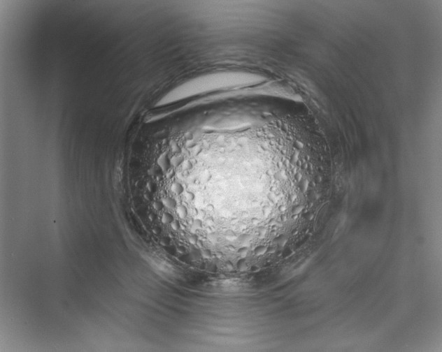 X0000075400365200609251024