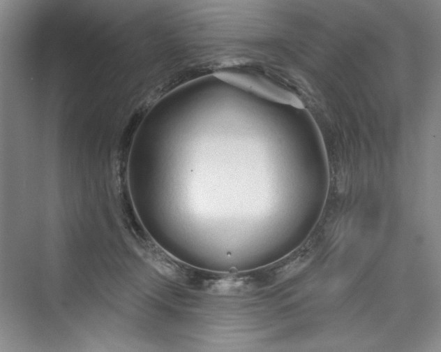 X0000075400366200609251024