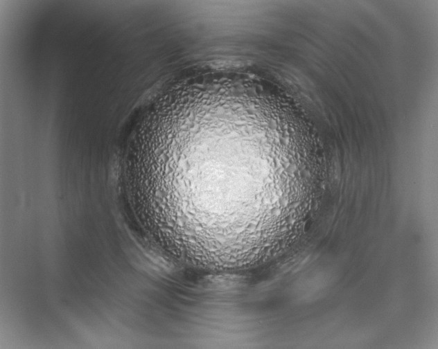 X0000075400367200609251024