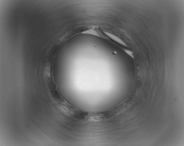 X0000075400368200609251024