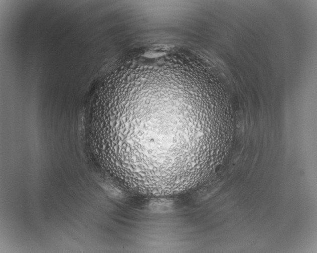 X0000075400369200609251024