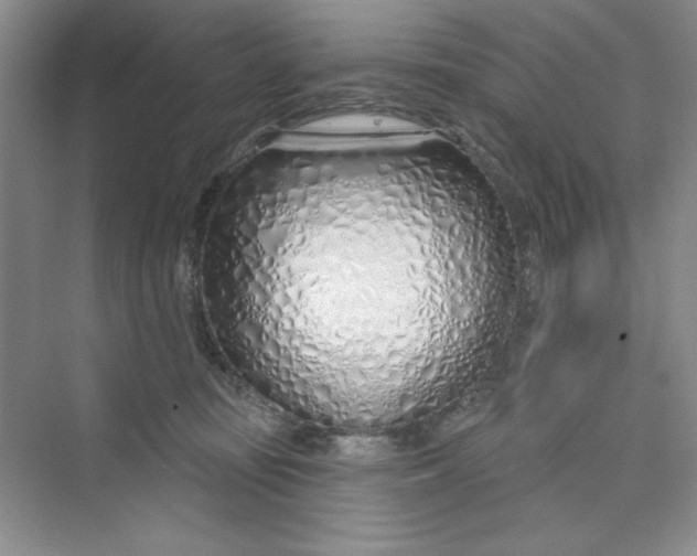 X0000075400371200609251024