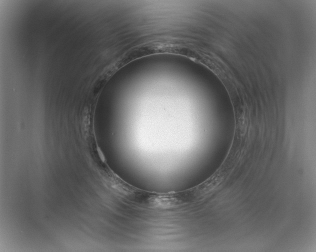 X0000075400372200609251024