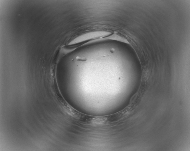 X0000075400373200609251024