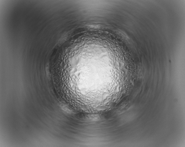 X0000075400377200609251025