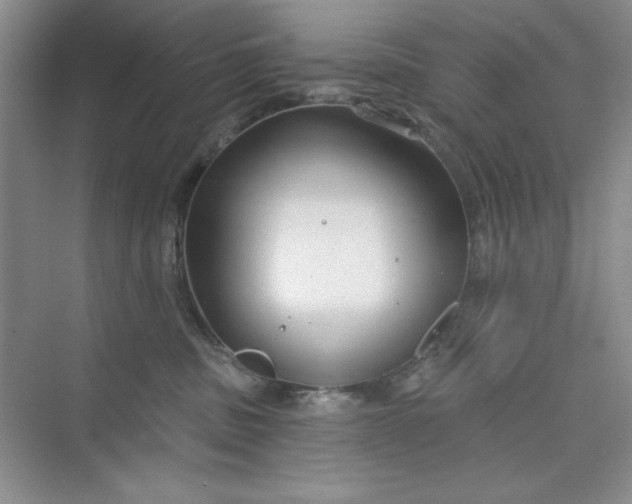 X0000075400379200609251025