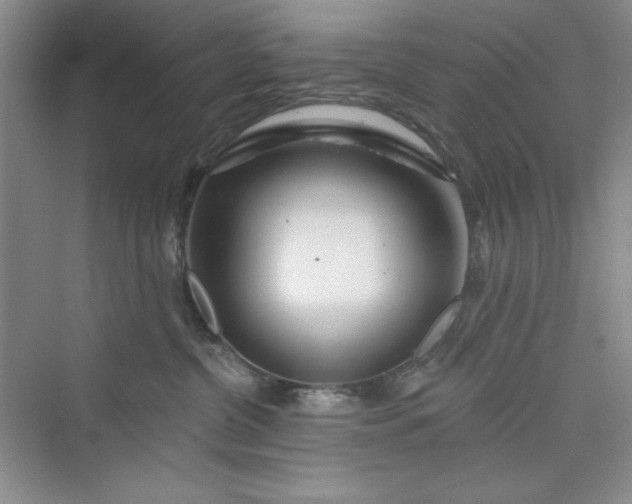 X0000075400380200609251025