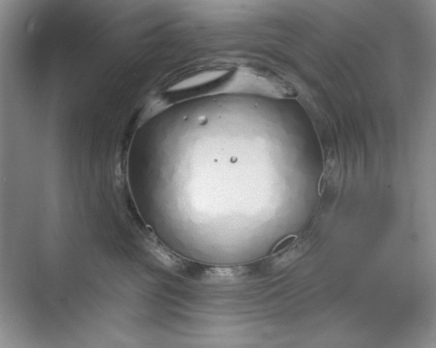 X0000075400381200609251025