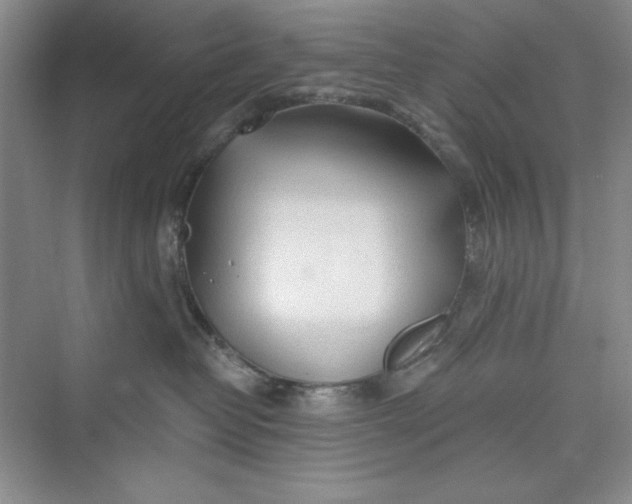 X0000075400382200609251025