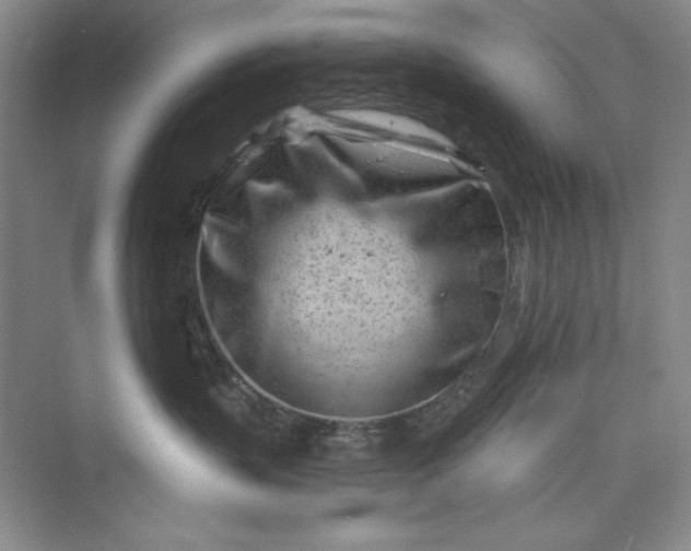 X0000075400383200609251025