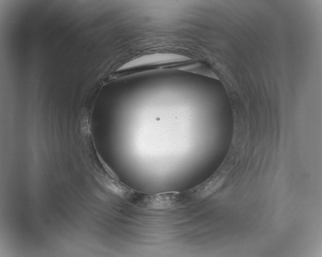 X0000075400384200609251025