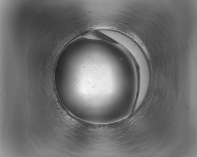 X0000075400385200609251024