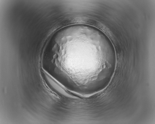 X0000075400386200609251024