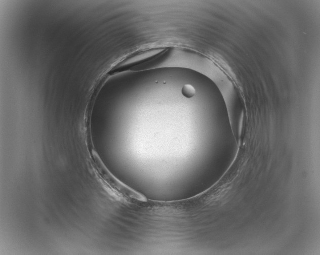 X0000075400389200609251024