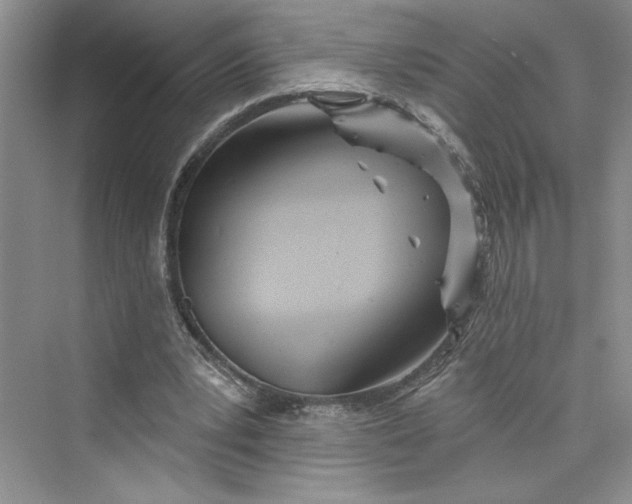 X0000075400391200609251024