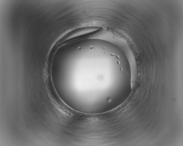 X0000075400392200609251024