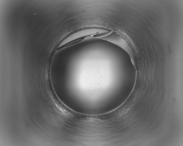 X0000075400393200609251024