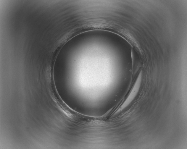 X0000075400397200609251024