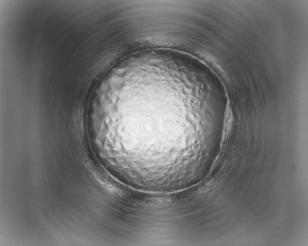 X0000075400398200609251024