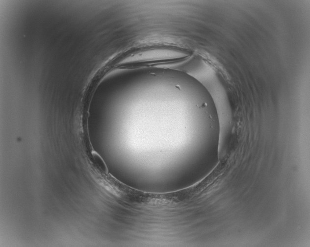 X0000075400399200609251024