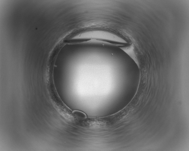 X0000075400400200609251024