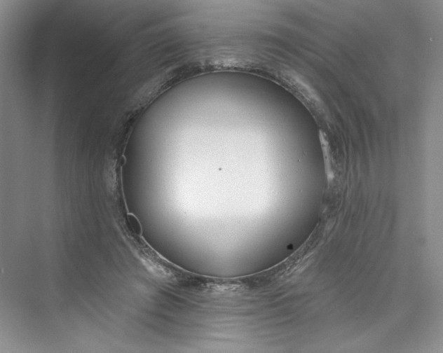 X0000075400401200609251024