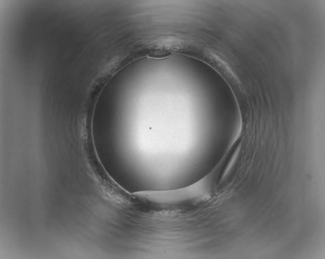 X0000075400403200609251024