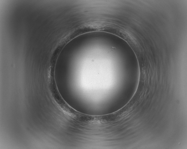 X0000075400404200609251024