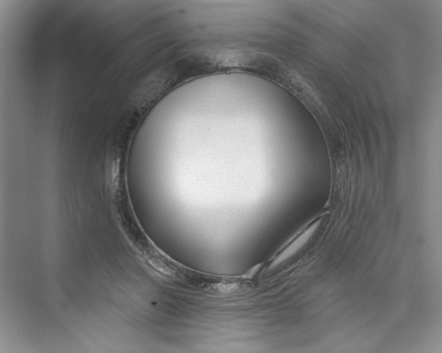 X0000075400406200609251023