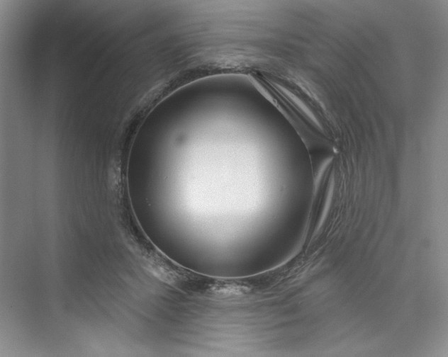 X0000075400407200609251023