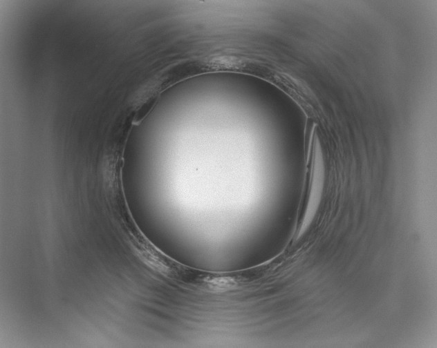 X0000075400409200609251023