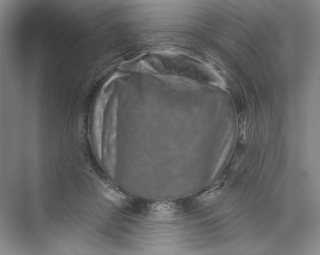 X0000075400410200609251023