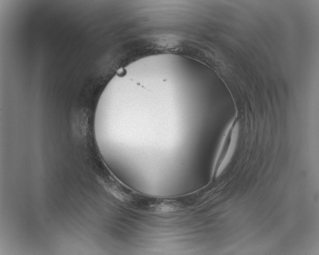 X0000075400412200609251023