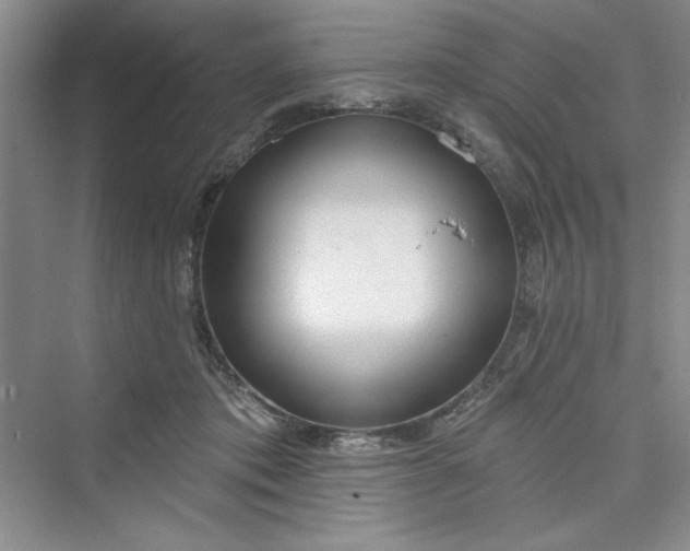 X0000075400413200609251023