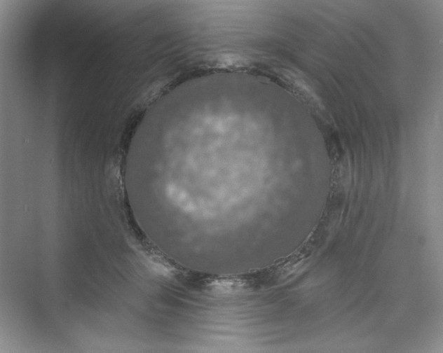 X0000075400415200609251023