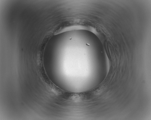 X0000075400416200609251023