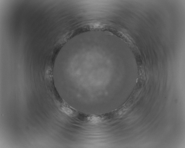 X0000075400419200609251023