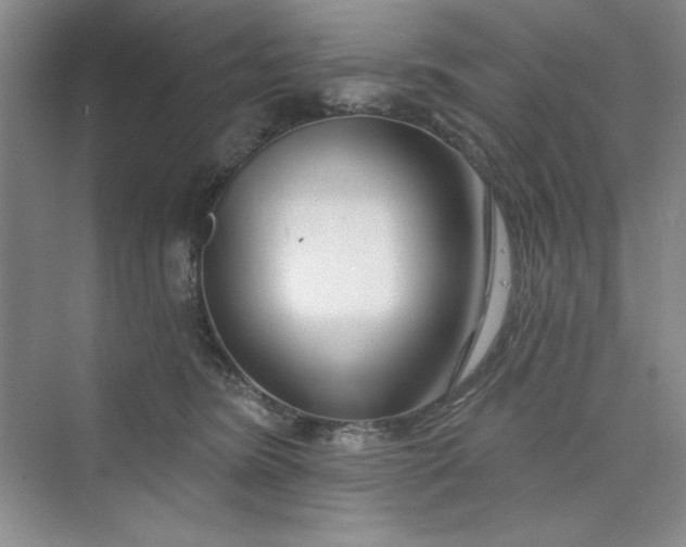 X0000075400420200609251023