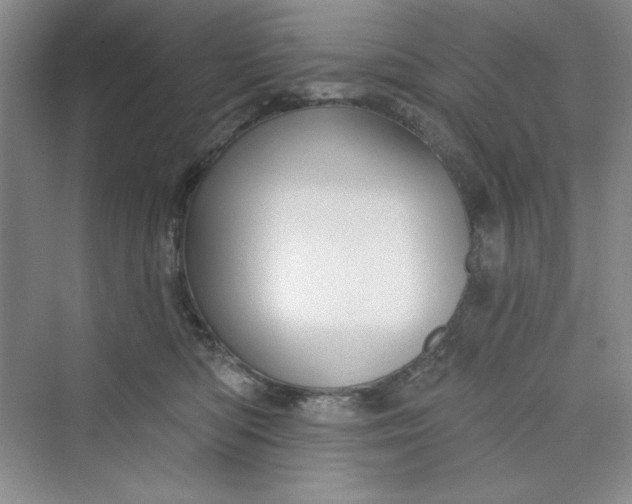 X0000075400422200609251023