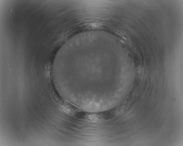 X0000075400423200609251023