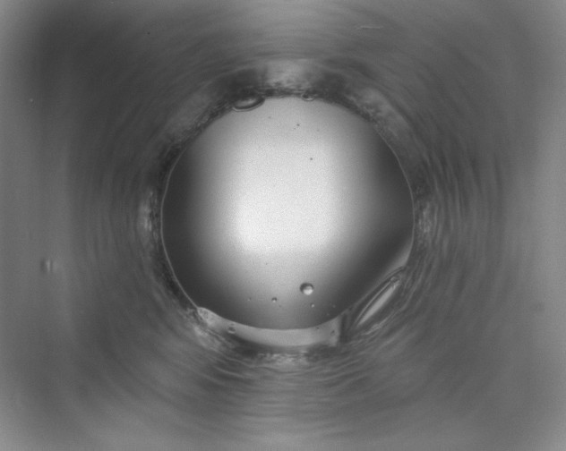 X0000075400424200609251023