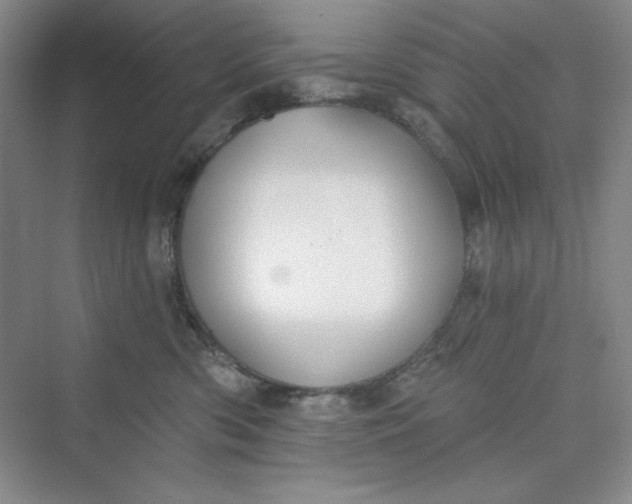 X0000075400426200609251023