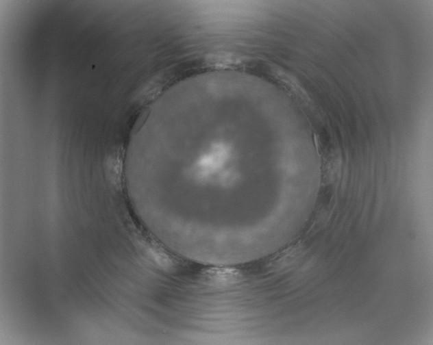 X0000075400427200609251023